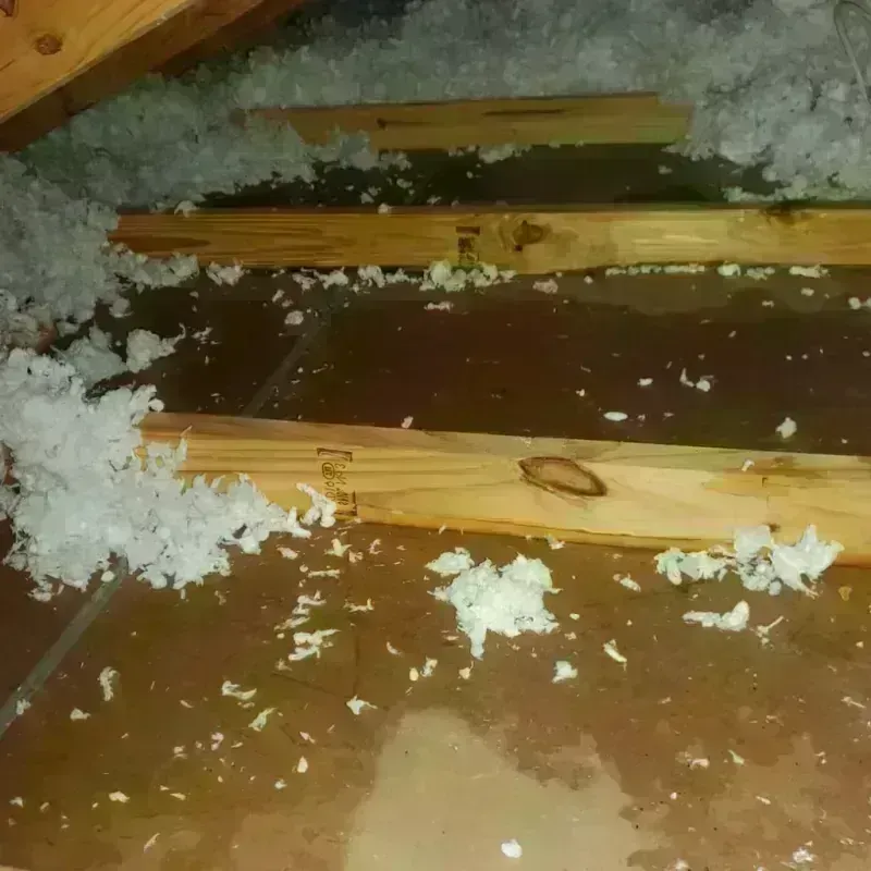 Attic Water Damage in Ward County, TX