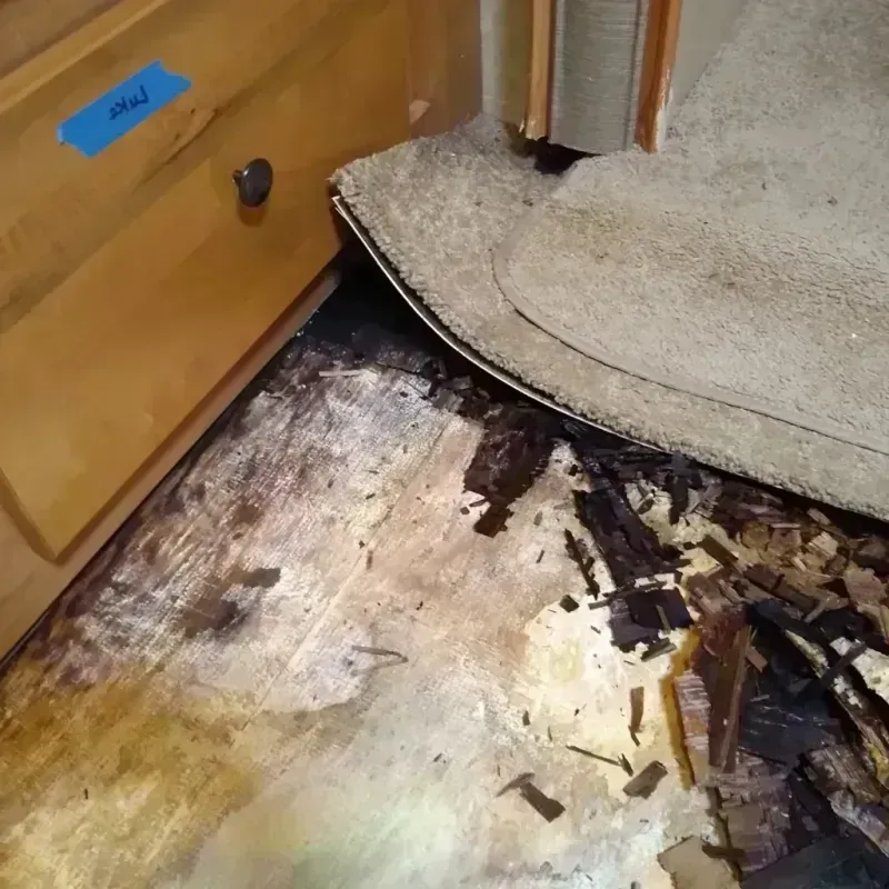 Wood Floor Water Damage in Ward County, TX